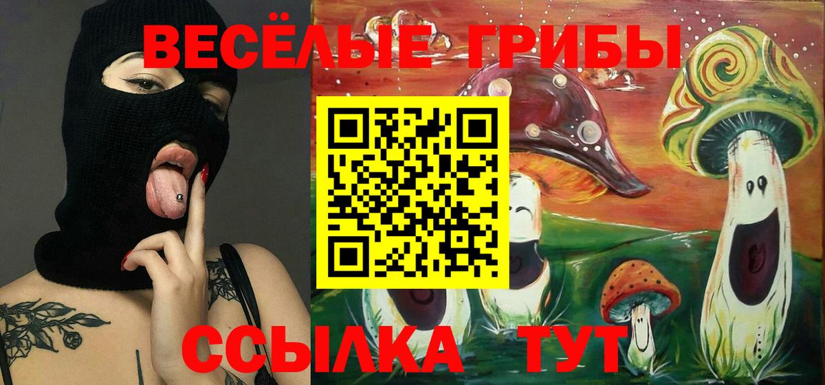 Псилоцибиновые грибы Psilocybe Ялуторовск